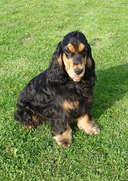 Karel-Argo 8.5.2010 e.JPG